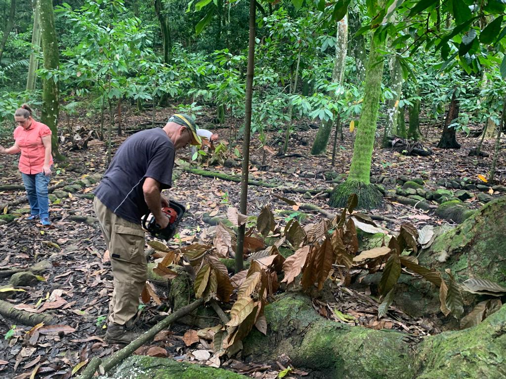 EntretienCacaoyèreAvecRoberto
